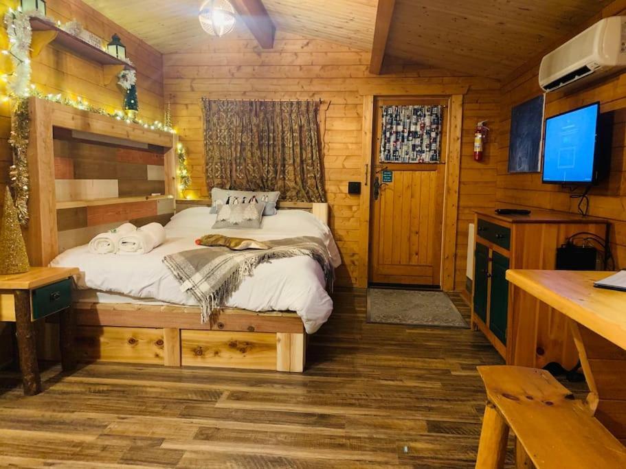 Fancy Fireflies Cabin Гейворд Екстер'єр фото